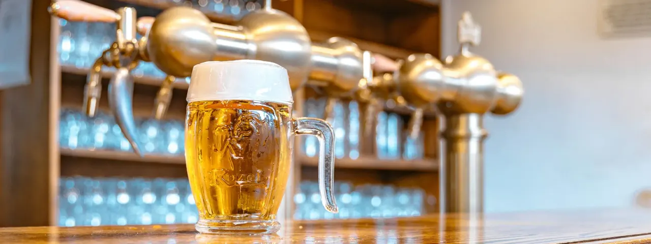 BookNoFees: Restavracija – Kozel u Bohemky – Prague – Kozel pri Bohemki, fotografija 1