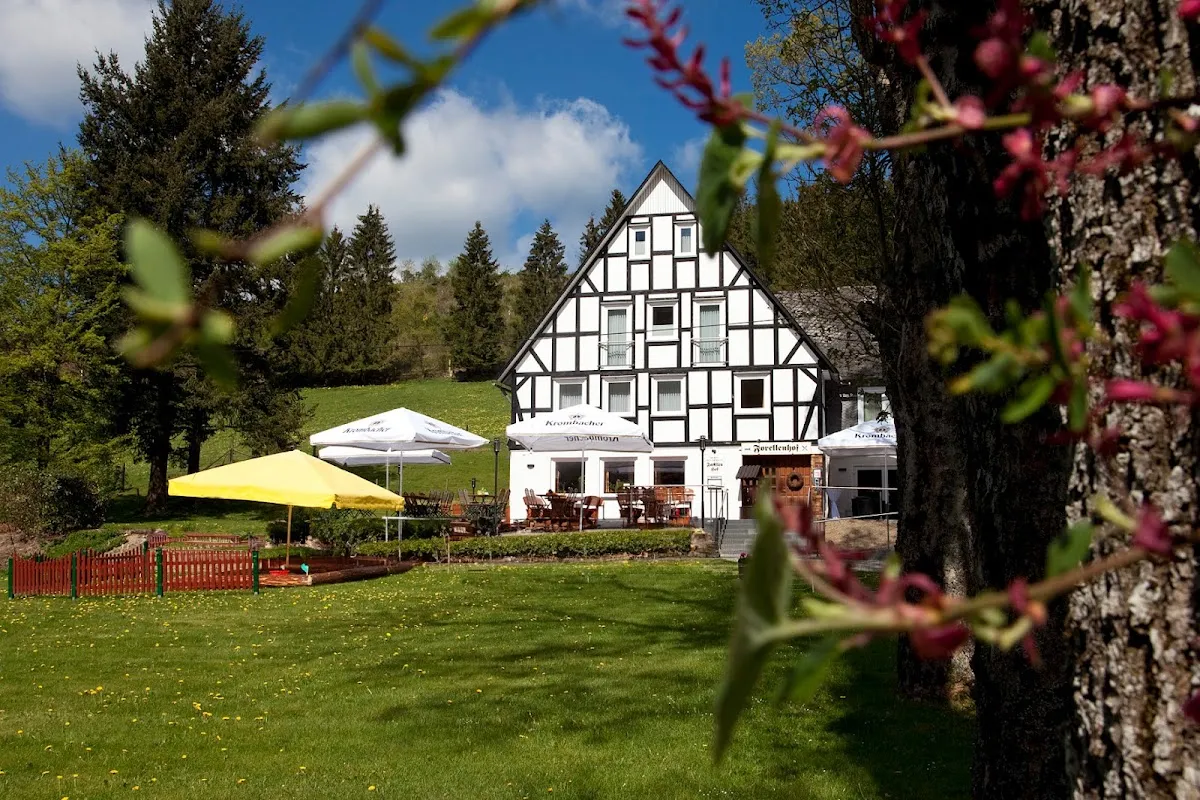 BookNoFees: Restavracija – Forellenhof Boshof – Bad Berleburg – Forellenhof Boshof, fotografija 1