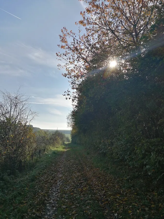 BookNoFees: Restavracija – Erlingser Treff – Marsberg – Erlingser Treff, fotografija 1