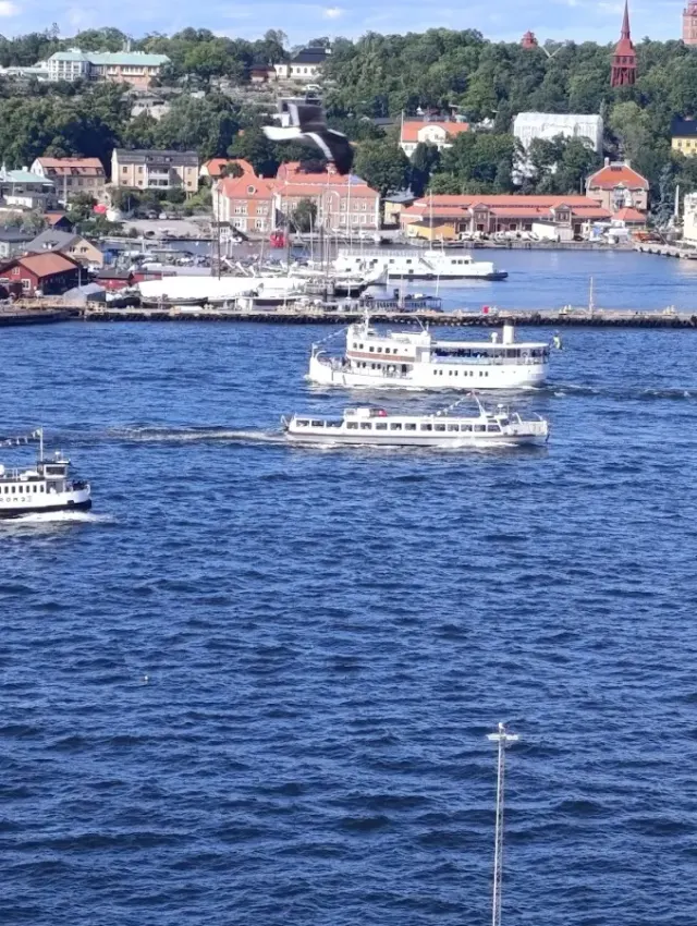 BookNoFees: Kavarna – Fåfängan – Stockholm – Ponos, fotografija 2