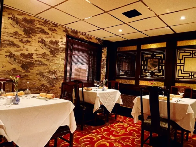 BookNoFees: Yang's, Dublin