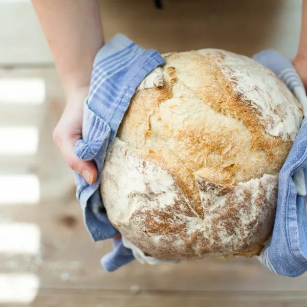 BookNoFees: Pekarna – Insieme al pane – Rome – Skupaj s kruhom, fotografija 3