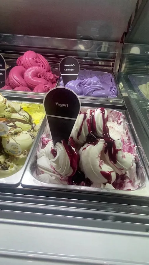BookNoFees: Sladoled – Andersen Ice Cream – Bratislava – Andersenov sladoled, fotografija 3