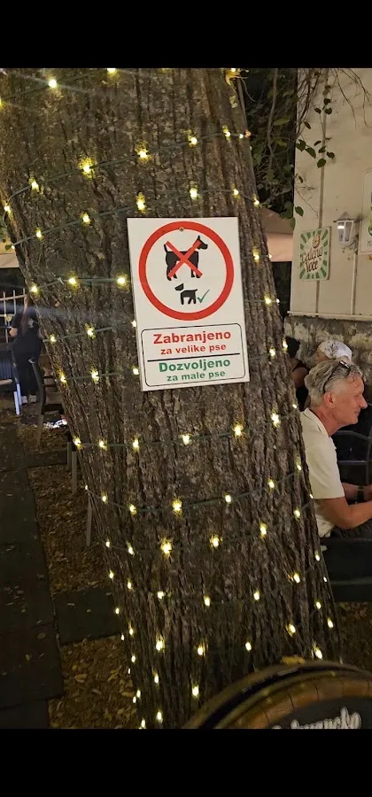 BookNoFees: Kavarna – Caffe Galerija Priča – Belgrade – Caffe Galerija Priča, fotografija 2