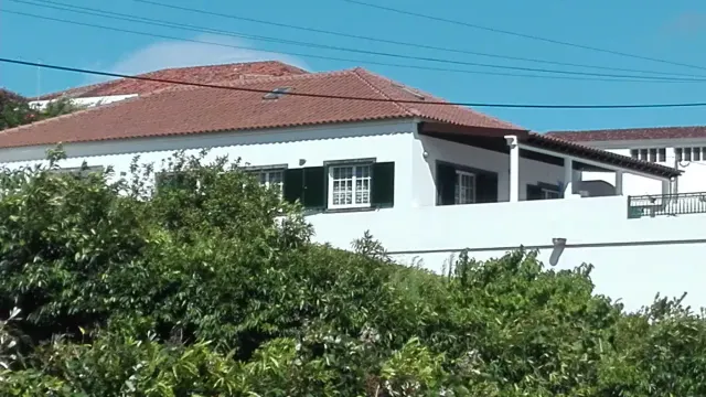 BookNoFees: Celotna hiša na otoku São Miguel – Ribeira Chã