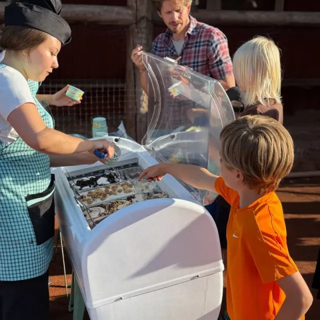 BookNoFees: Sladoled – Ismageriet – Copenhagen – Sladoledarna, fotografija 3