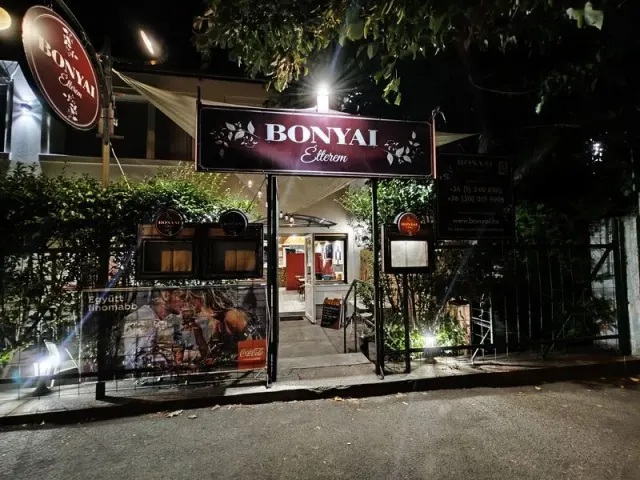 BookNoFees: Restavracija – Bonyai Étterem – Budapest – Restavracija Bonyai, fotografija 3