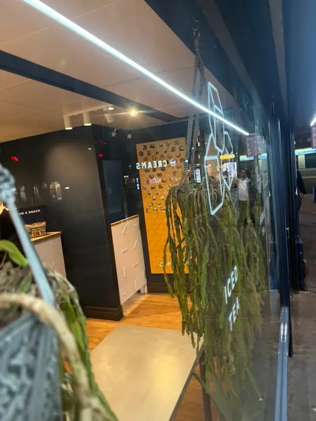 BookNoFees: Kavarna – Cupp Bubble Tea – London – Cupp Bubble Tea, fotografija 2
