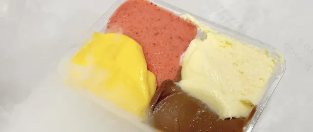 BookNoFees: Sladoled – Gelateria Fassi – Rome – Sladoledarna Fassi, fotografija 3